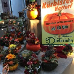 Kuerbisfest-Wolfsburg